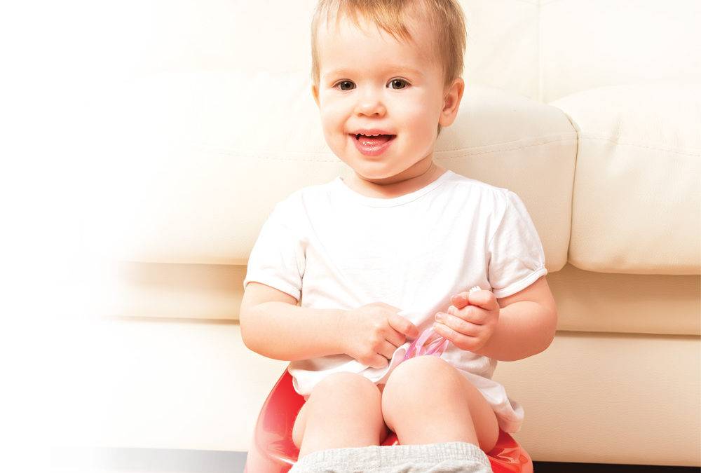 Tots on Pots: Your Guide to Potty Training