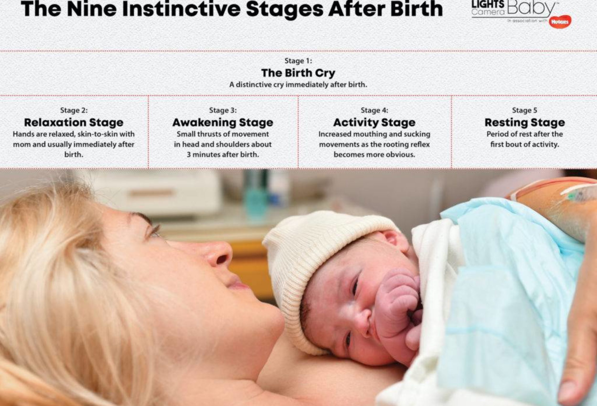 9 instinctive stages V2