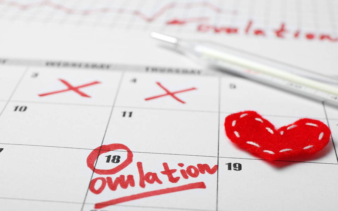 Diary of a pregnancy: weeks one and two