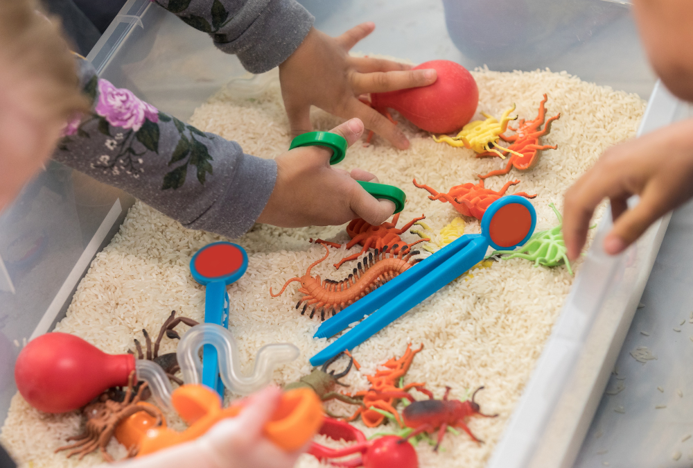 Help your Little Ones Learn: The Benefits of Structured Play and Free Play