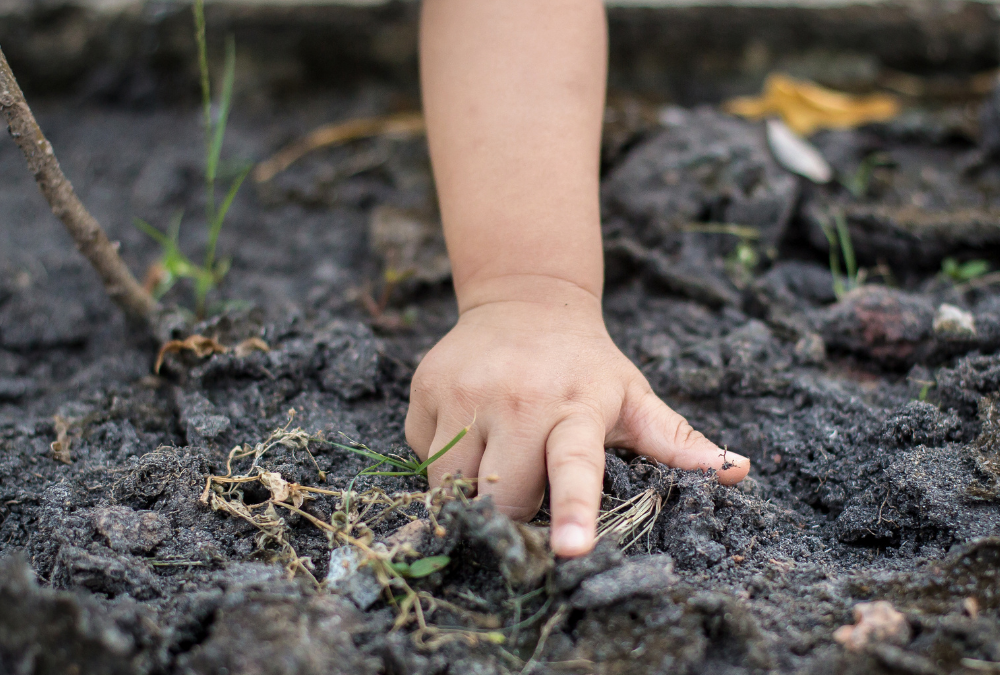 Fun and Screen-Free Summer Activities for Toddlers