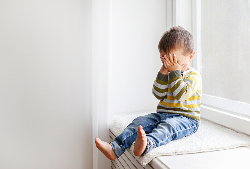 Don’t Sweat the Meltdowns! Toddler Emotional Wellness