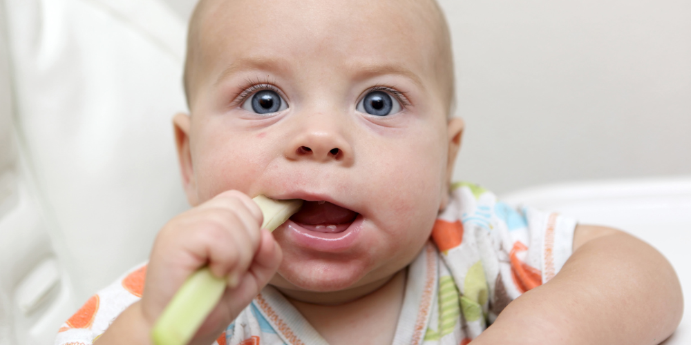 baby led weaning